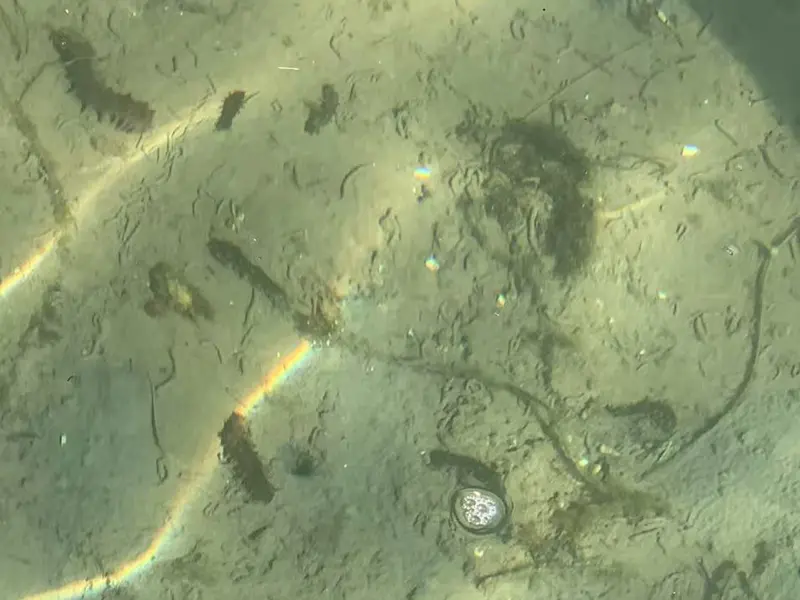 202502 SeaCucumber Culture