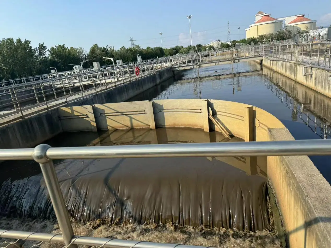 Safeguarding Our Waters: Key Parameters to Monitor in Wastewater Treatment Effluent