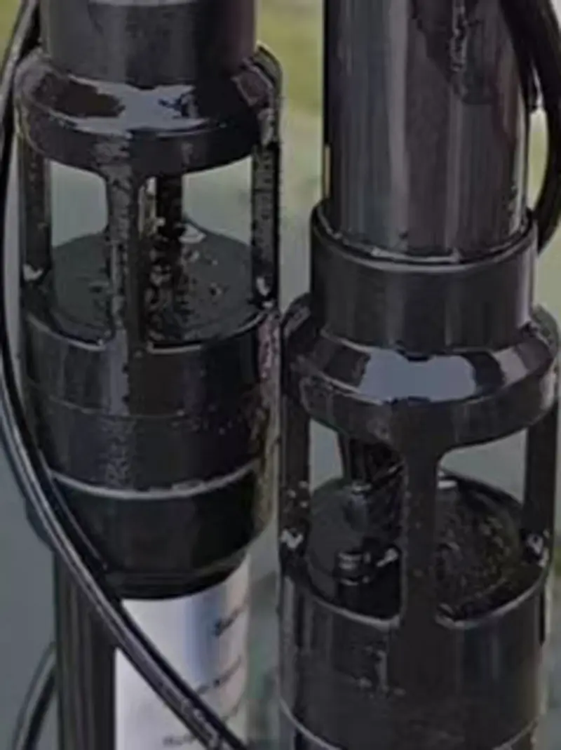 Vietnam aquaculture base (1)