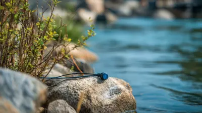 10 Reasons Water Ph Sensors Are Essential for Your Business Success