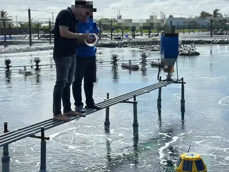 202408 Vietnam Aquaculture Base