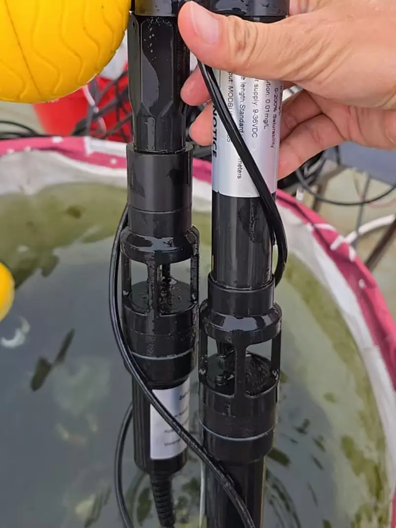 Vietnam aquaculture base (3)